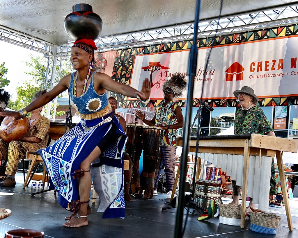 Taste-of-africa-event-photo (15)