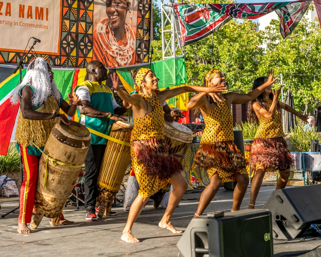 Taste-of-africa-event-photo (6)