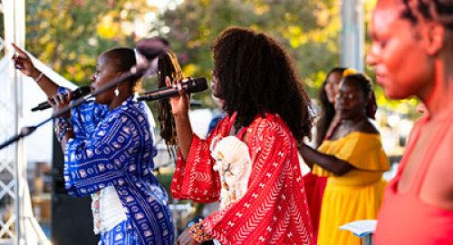 53966533336_0db9f7c18e_c